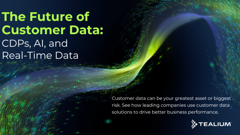 2025 State of Customer Data: The Future of Customer Data