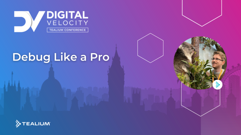 DV EMEA Debug Like A Pro 800x450