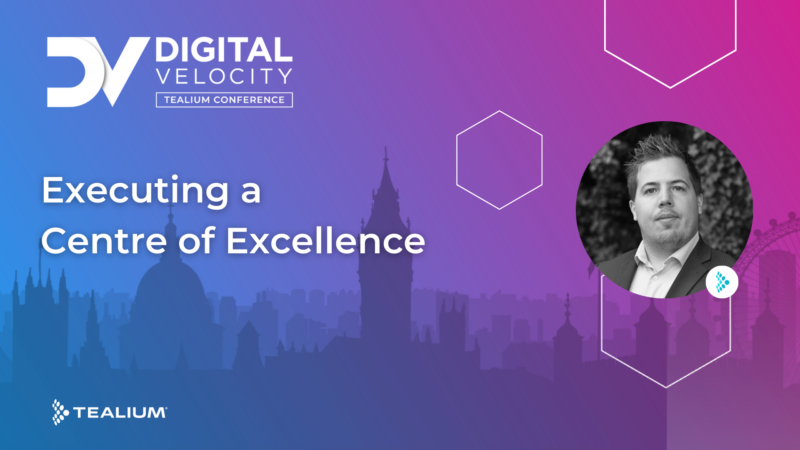 DV EMEA Executing A Centre Of Excellence 800x450