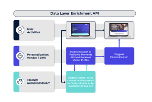 Data Layer Enrichment via API