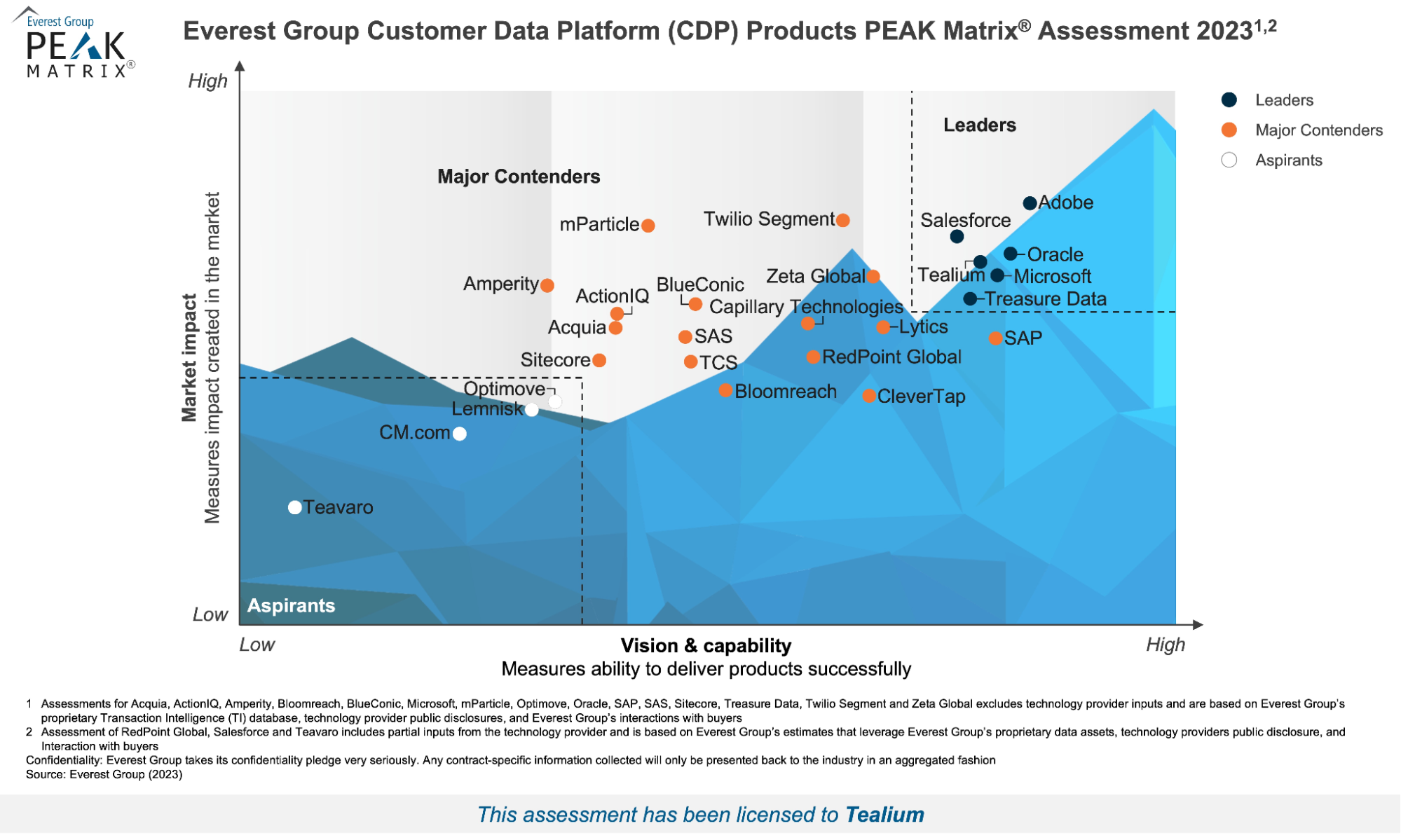 Everest Group Leading CDPs