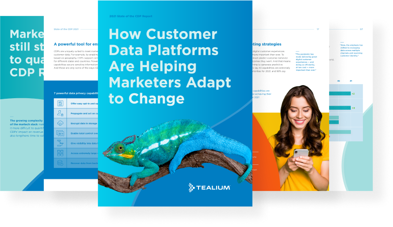 Tealium CDP data study